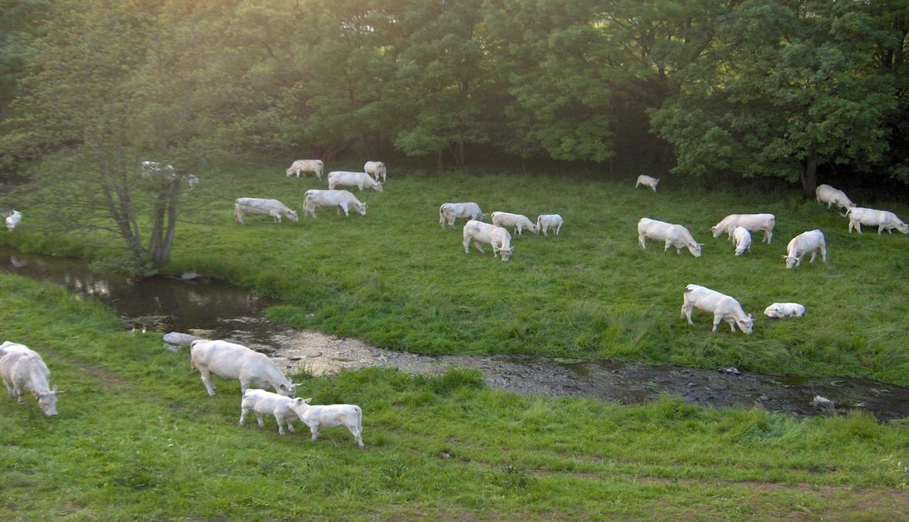 Betzemuehle 1 Bauernhof Altenschlirf Exterior foto